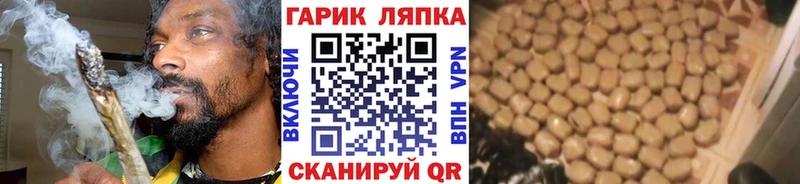 ГАШ Терек