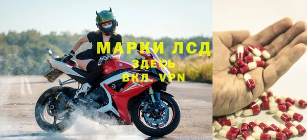спайс Аркадак