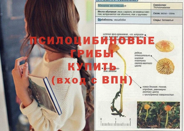 герыч Арсеньев
