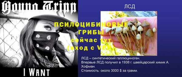 ГАЛЛЮЦИНОГЕННЫЕ ГРИБЫ Армянск