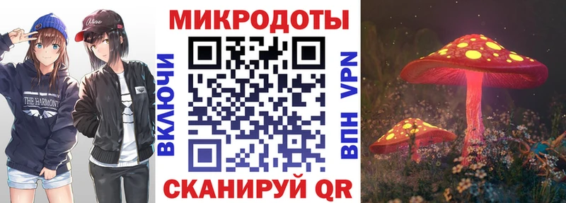 наркота  Терек  Галлюциногенные грибы Psilocybe 